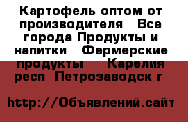 Картофель оптом от производителя - Все города Продукты и напитки » Фермерские продукты   . Карелия респ.,Петрозаводск г.